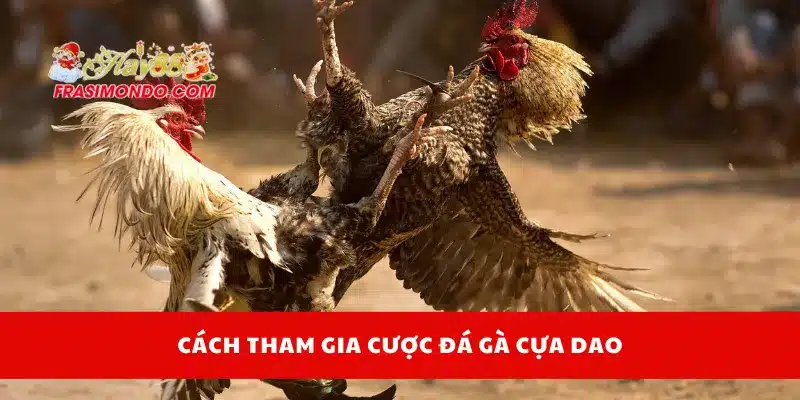Đá Gà Cựa Dao Online Hay88 – Luật Chơi Và Mẹo Thắng Lớn 4 Cách tham gia cược đá gà cựa dao