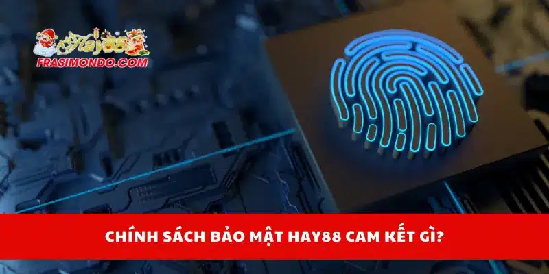 Chính Sách Bảo Mật Hay88 3 Chính sách bảo mật Hay88 cam kết gì?