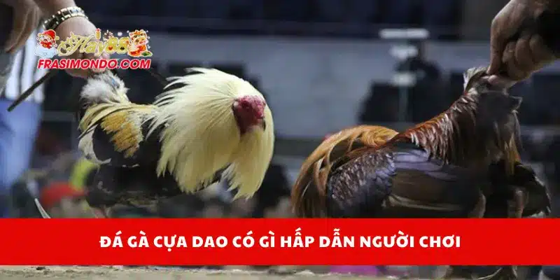 Đá Gà Cựa Dao Online Hay88 – Luật Chơi Và Mẹo Thắng Lớn 2 Đá gà cựa dao có gì hấp dẫn người chơi