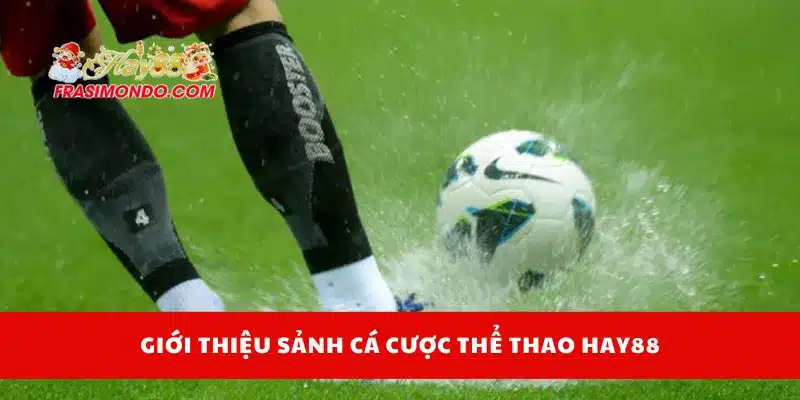 Thể Thao Hay88 1 Giới thiệu sảnh cá cược thể thao Hay88